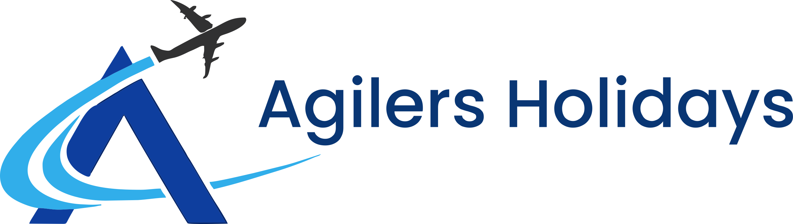 blue logo